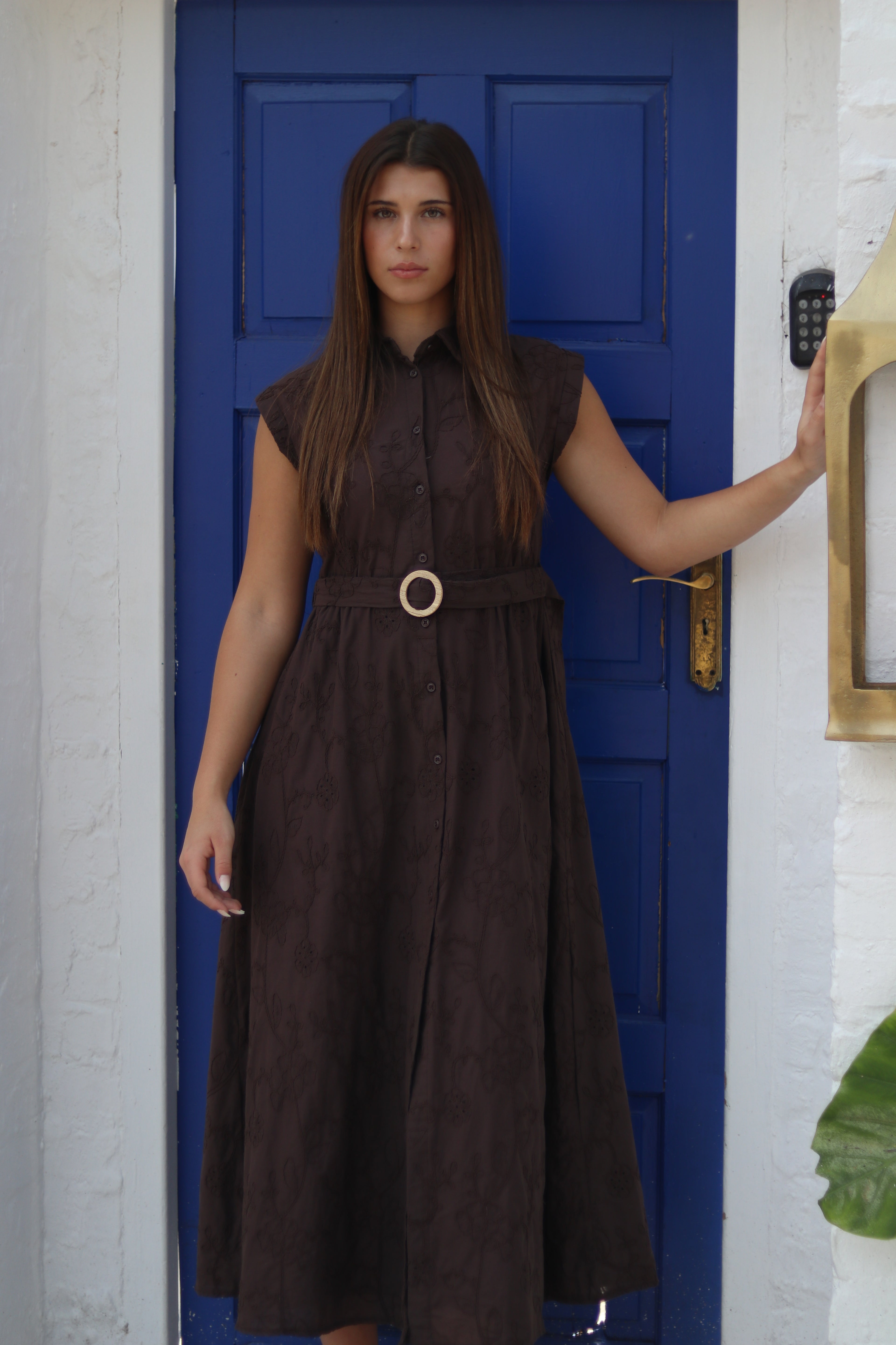 Brown Embroidery Dress